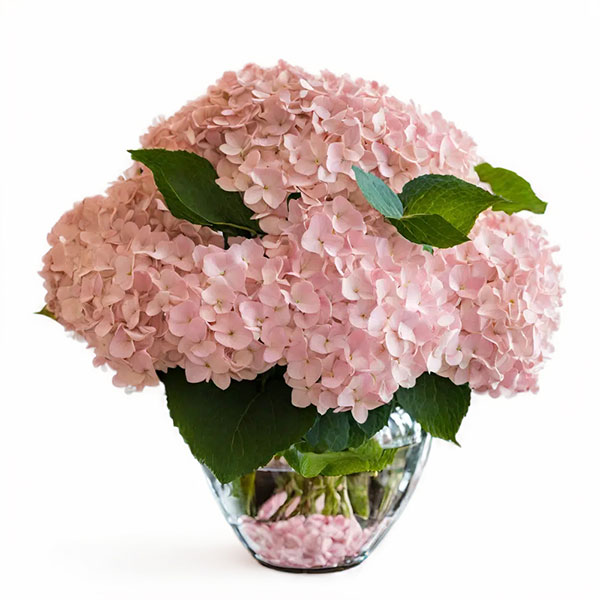 Pink Hydrangea Bouquet