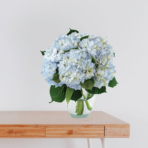 Light Blue Hydrangea Bouquet